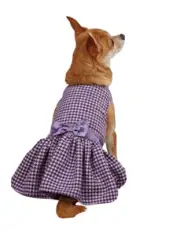 East Side Collection Wool/Polyester Teatime Dog Dress, Purple