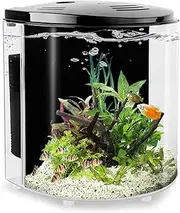 YCTECH 1.2 Gallon Betta Aquarium Starter Kits Fish Tank with LED Light and Filter Pump Black (320black)