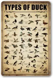 Type Of Duck Tin Sign Hunting Decor Mallard Ducks Knowledge Metal Signs...
