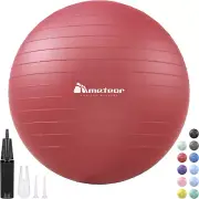 METEOR Essential Anti-Burst Swiss Ball - Premium Quality Exercise Ball for Pilat