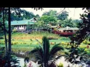 西必洛森林度假村Sepilok Jungle Resort