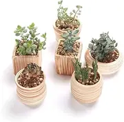 6 Pack 7.5CM Wooden Pattern Plant pots Ceramic Planters Succulent Plant Pot/Cactus Plant Pot Flower Pot Container Planter Perfect Gife Idea