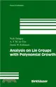 Analysis on Lie Groups With Polynomial Growth