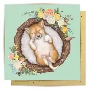 La La Land Greeting Card Nested Baby Dingo