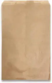 Plain Kraft Paper Gift Bags - Shopping/Sales/Tote Bags