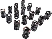 Xwang Store Valve Springs Set Compatible with Chevrolet SBC 400 350 327 307 305 283 267