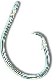 Mustad Classic Circle Hook, Curved In Point, 2X Strong, : 39960ST-DT-12/0-100
