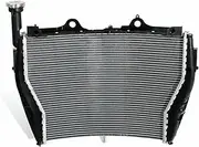 Car Radiator Radiator Cooler Cooling Fit For BMW S1000RR 2009-2018 HP4 RACE 2018 Motorcycle Water Tank System Radiator Fin Comb Kit