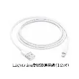 在飛比找遠傳friDay購物優惠-Apple 原廠 Lightning 對 USB 連接線 (