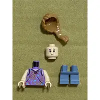 在飛比找蝦皮購物優惠-LEGO 樂高 人偶 蕾克斯·莫菲 侏羅紀世界 75932