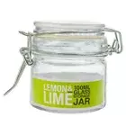 16x Lemon & Lime Mini Glass Storage Jars Clip Lid Spice Container 100ml