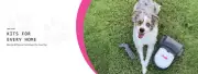 New SwiftPaws Home Original Bundle Remote Control Toy For Dogs Flag Lure Course