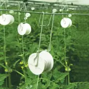12x Greenhouse Tomato Trellis Support Rollerhook Roller Hook Twine Roller Spool