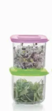 Tupperware Clear Mates 3⁄4-cup/200 mL Mini 2 containers