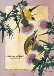American Goldfinch Audubon Garden Size (13" x 18" Approx) Flag TOL 719102