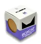 國際貓家 BOXCAT紫標 威力除臭 奈米銀粒子 抗菌除臭 小球貓砂 12L 貓砂 國際