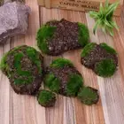 Artificial Plant Simulation Prop Fake Stone Foam Moss Stone Rock Micro Landscap