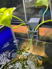 Small Aquarium Pothos Plant Holder for Fish Tanks 3D Printed