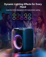 Portable Bluetooth Karaoke speaker with 2 wireless microphones