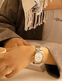 在飛比找Yahoo!奇摩拍賣優惠-Tissot 天梭力洛克系列鋼帶80機芯機械男手錶 T006