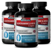 Interstitial Cystitis - Glucosamine & MSM Complex 3232mg - Chondroitin 1000 3B