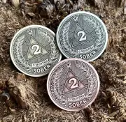 2 Months Sobriety Coin AA Medallion Sobriety Chip Pocket Coin Souvenir Token