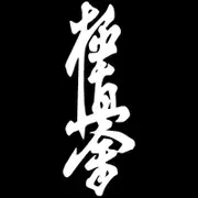 CK2015# Kyokushin Karate Dojo Funny Car Sticker Vinyl Decal Car Auto Stickers For Car Bumper Window white Height 40cm