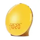 Soothing Colorful Wake Up Alarm Clock with LED Sunrises Simulation Snooze Radio