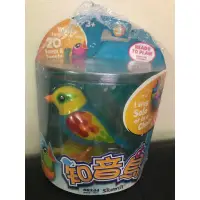 在飛比找蝦皮購物優惠-擺在家裡愛出清 全新 知音鳥 Digi Birds 系列