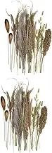 ULTECHNOVO 1 Bundle of Dried Broomcorn Decor Natural Table Centerpiece for Living for Home Decoration DIY Arrangements for Weddings Special Occasions