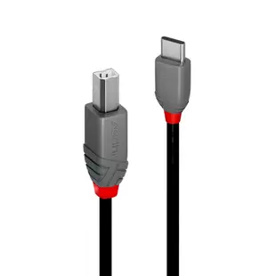 LINDY林帝 Type-C to B USB2.0 Type-C 公 TO Type-B 公 傳輸線 1公尺 2公尺