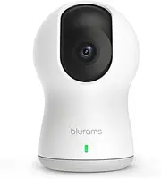 Blurams Dome Pro, 1080p Security Camera with Siren PTZ Surveillance System with Facial Recognition, Human / Sound Detection, Person Alerts, Night Vision Cloud / Local Available Compatible with Alexa