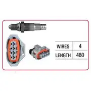 RAE Oxygen Sensor - OX437