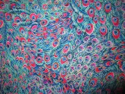 PEACOCK FEATHERS BLUE RED METALLIC BIRD FEATHERS COTTON FABRIC FQ