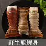 【日日有漁】生凍龍蝦身/龍蝦尾/清蒸/蒜蓉/焗烤/野生天然/海味十足/現貨/電子發票