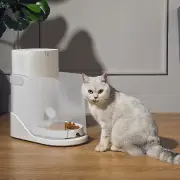 [EU] CATLINK CL-F-01 3.5L App Remote Control Cat Feeder Food Data Tracking Dual Power Support Dog Pet Supplies