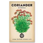 The Little Veggie Patch Co Coriander Heirloom Seeds