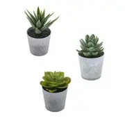 Artificial Succulents Set of 3 Mini Realistic Fake 4in (H) x 3in (W) Gray Pot