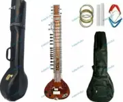 New Indian Quality White Electric Travel Sitar With Bag, String Set, Chalk, Mizr