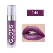 Velvet Matte Long Lasting Lip Makeup Lip Gloss Liquid Lipstick Waterproof