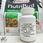 【狗鳥補奴🦜現貨附發票】分裝試吃罐80G水果丁蛋黃營養粉來自比利時凡賽爾+健康活力營養的來源