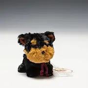 Candy Fontaine Yorkshire Terrier