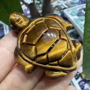 1pc Natural Tiger's eye Quartz hand carved tortoise skull crystal reiki healing