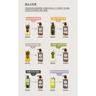 【tsaio上山採藥】露珠草舒緩緊膚沐浴露600ml│五星飯店指定款 敏感肌膚適用 保濕 舒緩 緊致肌膚 草本精油添加