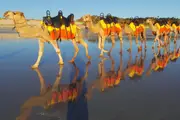 Sunset Cable Beach Camels - Broome