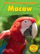 在飛比找三民網路書店優惠-Macaw