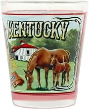 Kentucky State Mural Shot Glass Glassware