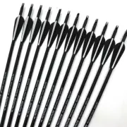 30/32 26/28 Inch Carbon Fiber/Glass Spine Arrows for Recurve Bow/Composite Bow