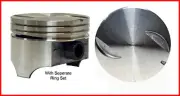 Chevrolet V8 454 Piston And Ring Set Free Shipping