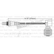 PAT Oxygen Sensor - EGO-040